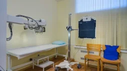 Семейная клиника Андреевские больницы НЕ+БОЛИТ изображение 4
